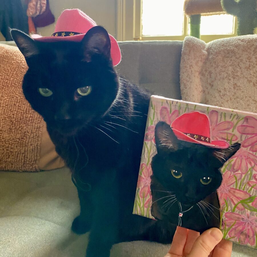 Portrait of cat in pink cowgirl hat